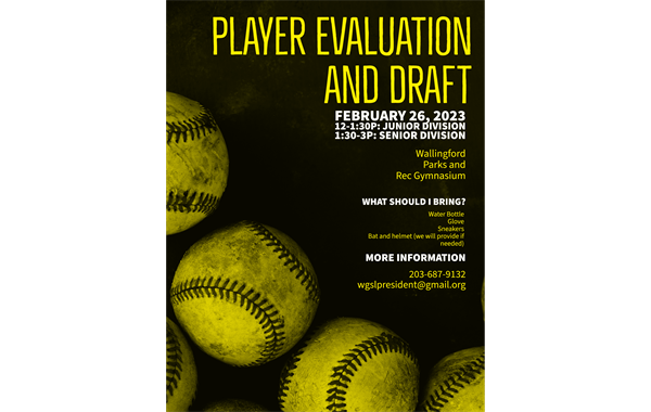 Player Evaluations and Draft