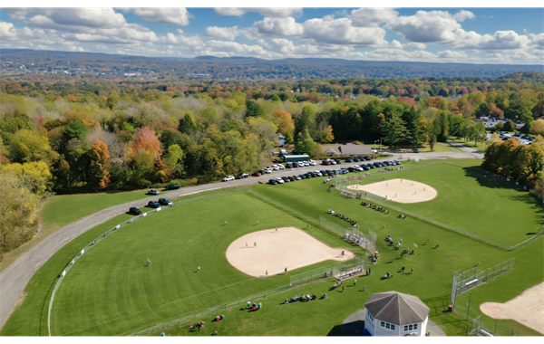 WGSL Fields
