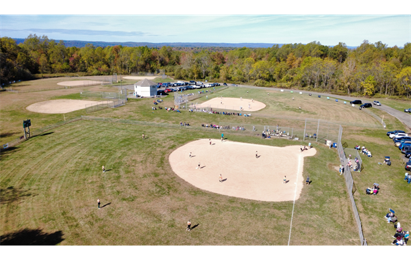 WGSL Fields